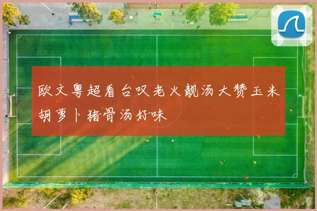 欧文粤超看台叹老火靓汤大赞玉米胡萝卜猪骨汤好味